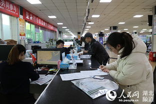 審批時(shí)間壓縮60% 武漢臨空港經(jīng)開區(qū)工業(yè)建設(shè)項(xiàng)目“批前提速”促發(fā)展